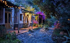Cortijo Jamaica - Off Grid Paradise - Costa Tropical
