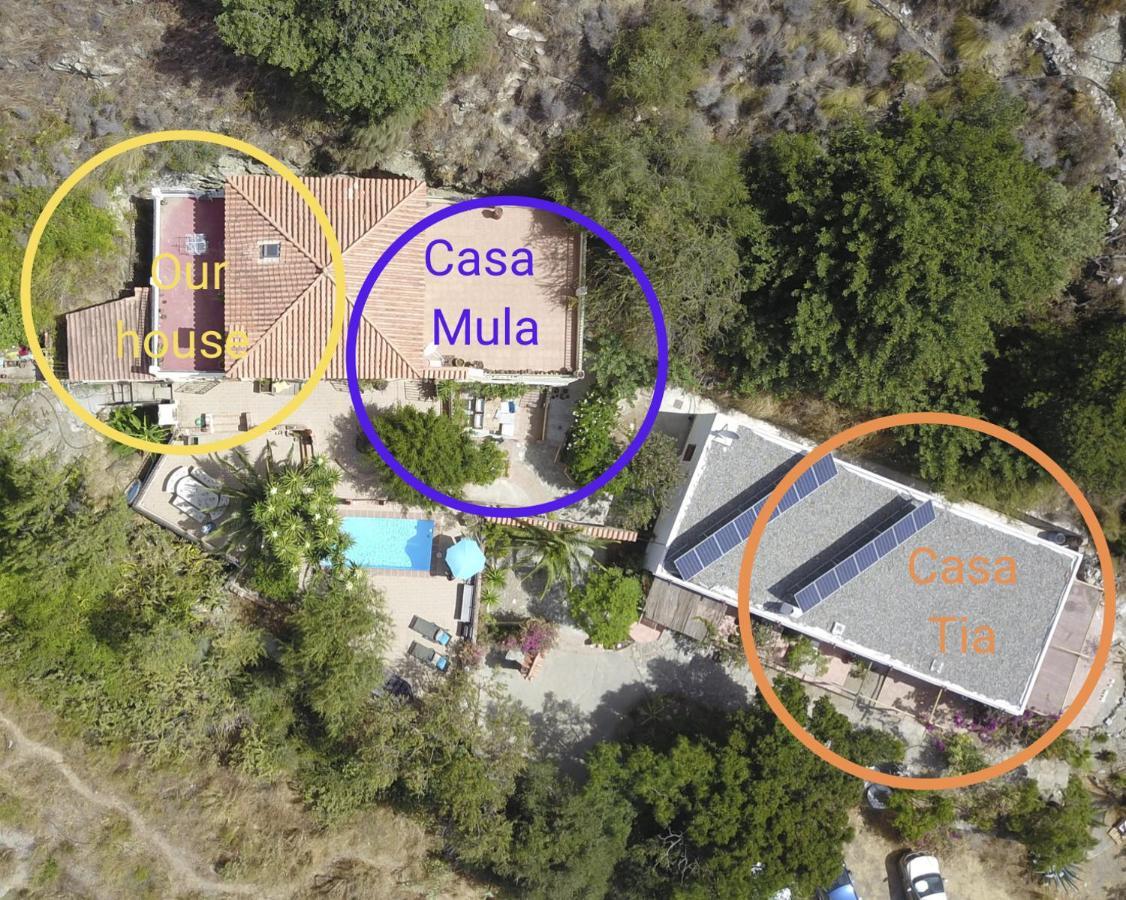 Cortijo Jamaica - Off Grid Paradise - Costa Tropical Los Diaz  Buitenkant foto