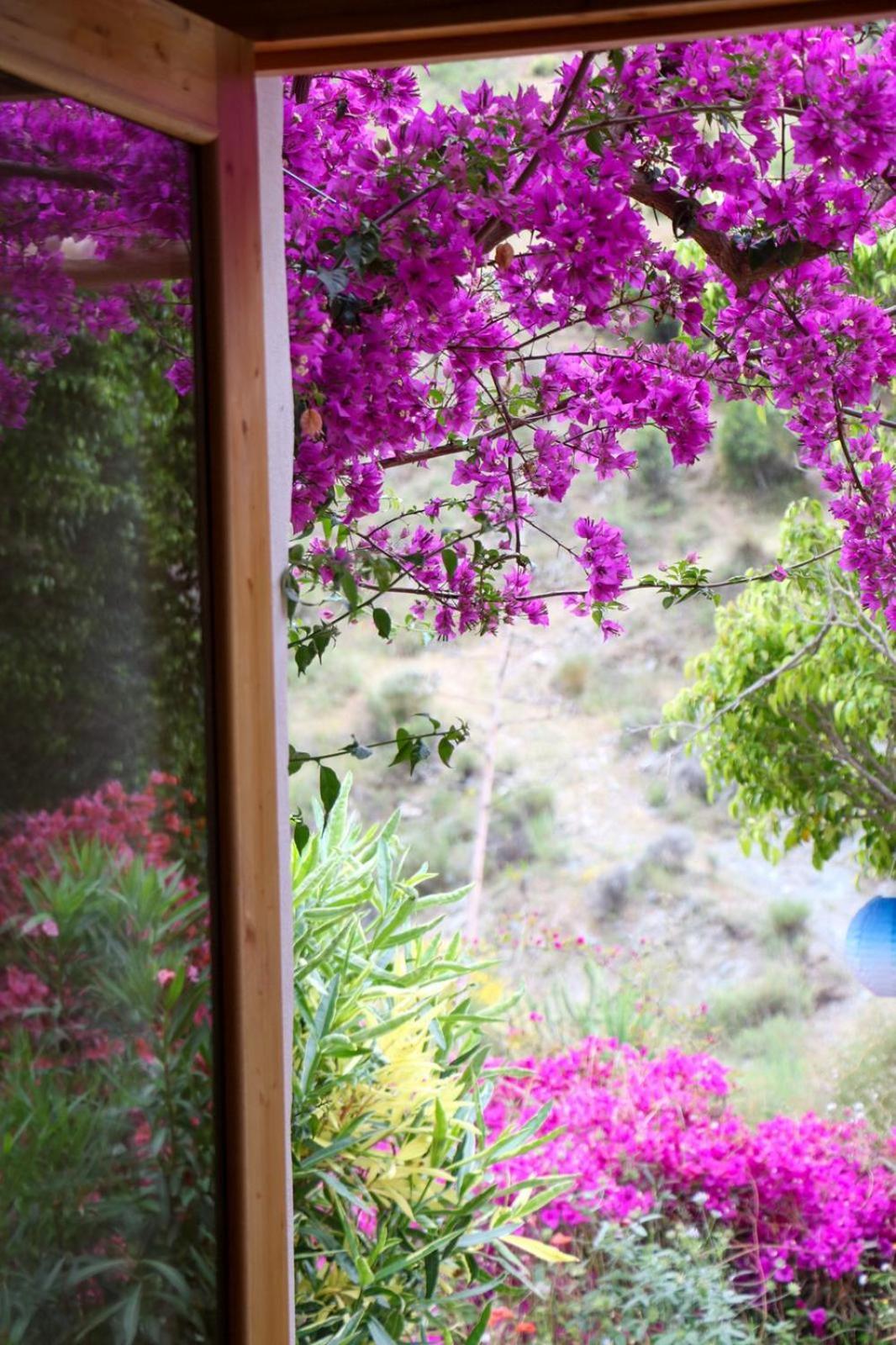 Cortijo Jamaica - Off Grid Paradise - Costa Tropical Los Diaz  Buitenkant foto