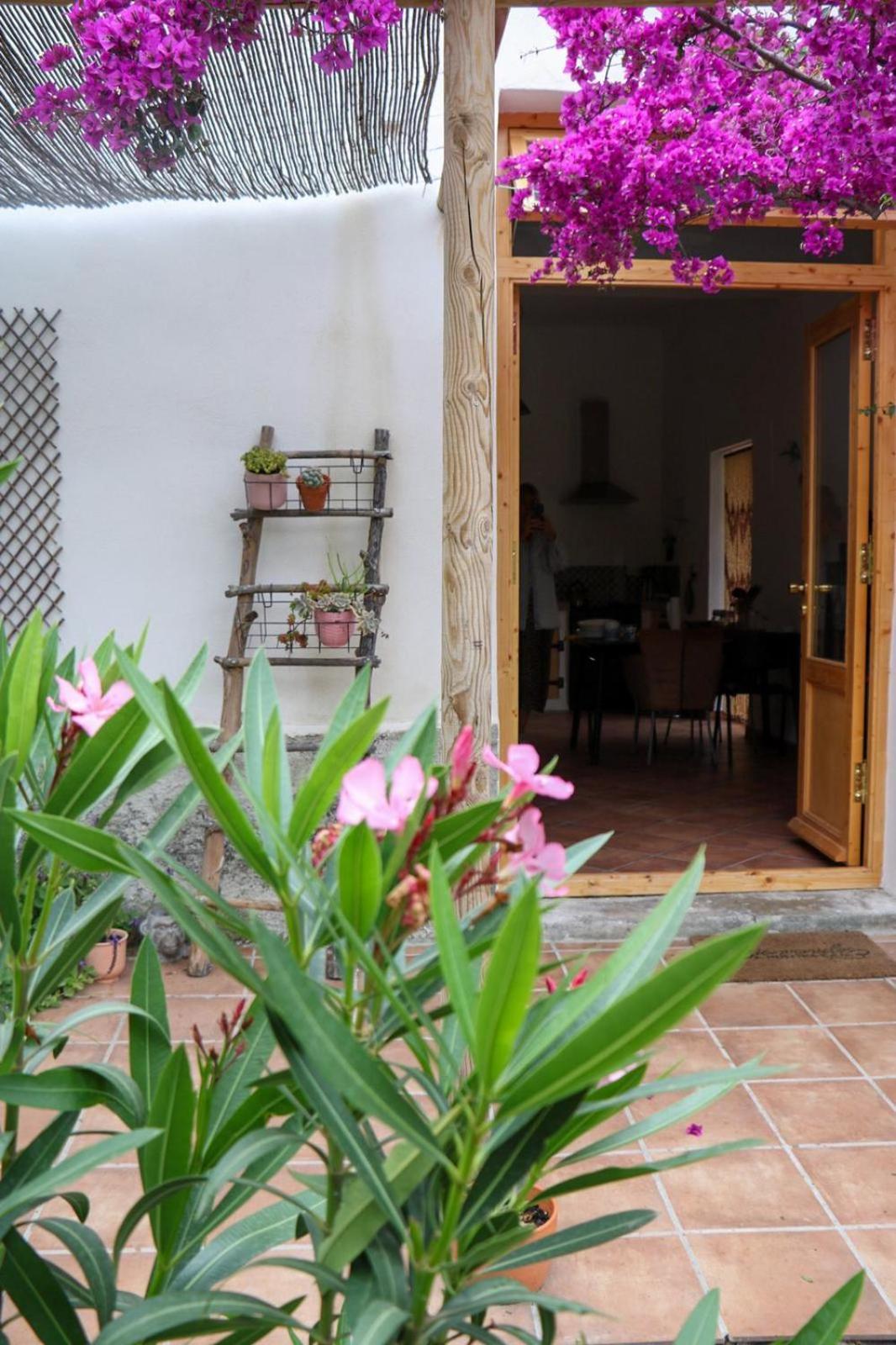 Cortijo Jamaica - Off Grid Paradise - Costa Tropical Los Diaz  Buitenkant foto